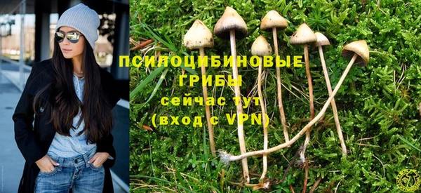 кокс Алзамай