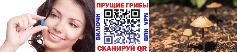 Псилоцибиновые грибы Psilocybine cubensis  Касимов 