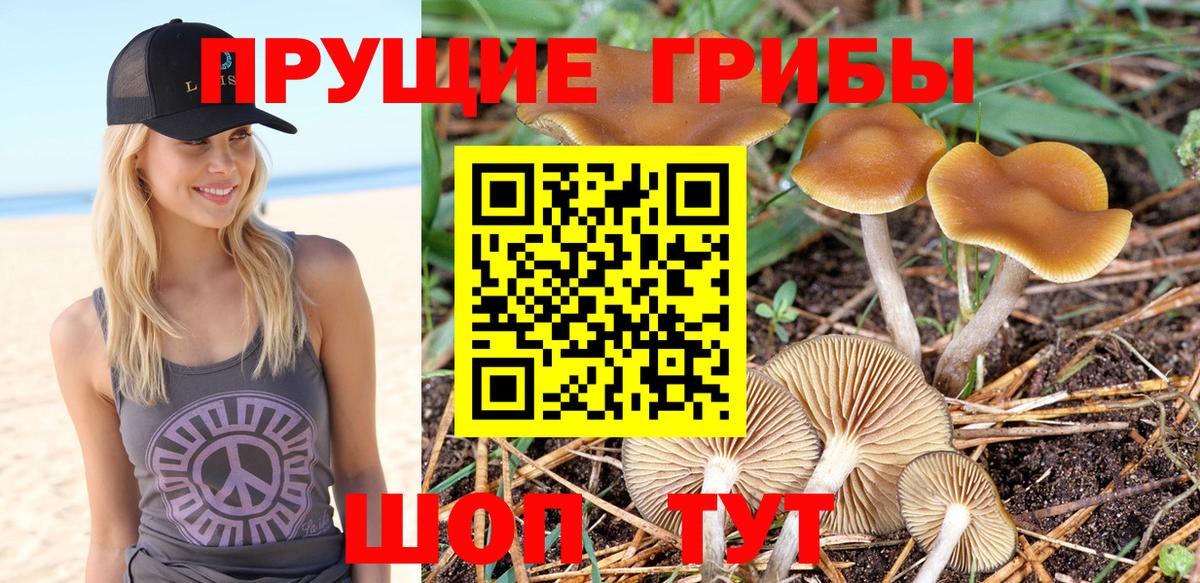 Касимов  Галлюциногенные грибы ЛСД  как найти   Вход с VPN  Галлюциногенные грибы ЛСД 