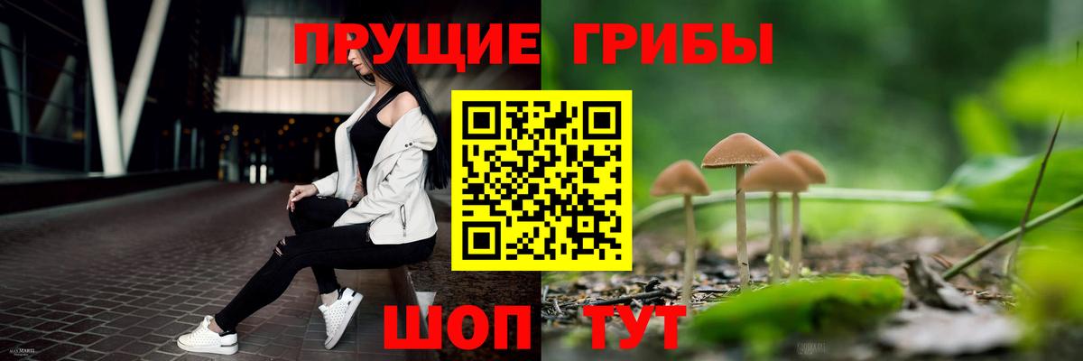 Галлюциногенные грибы Psilocybe Касимов